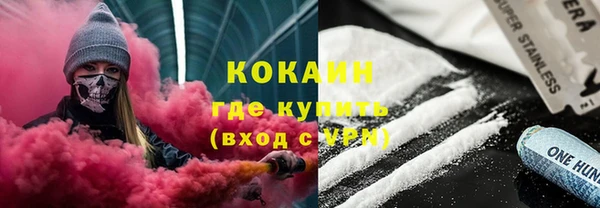 твердый Коряжма