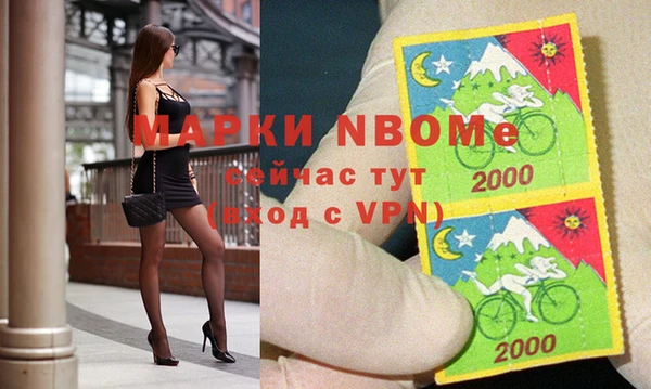 твердый Коряжма