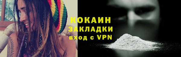 сатива Костерёво