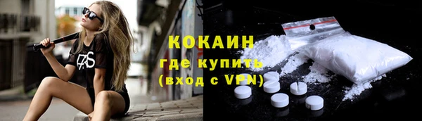 твердый Коряжма