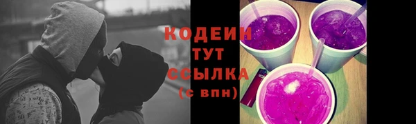 сатива Костерёво