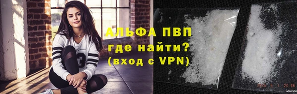 сатива Костерёво