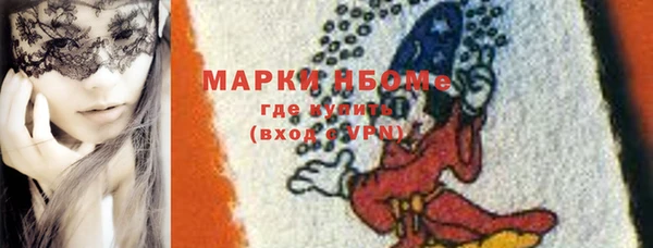 твердый Коряжма