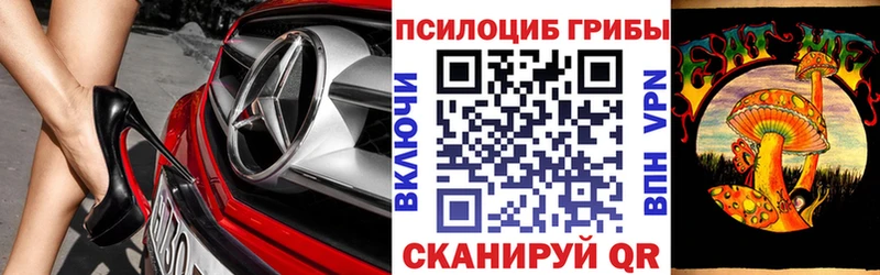 Галлюциногенные грибы мицелий мега как войти Усть-Катав